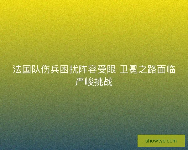 法国队伤兵困扰阵容受限 卫冕之路面临严峻挑战